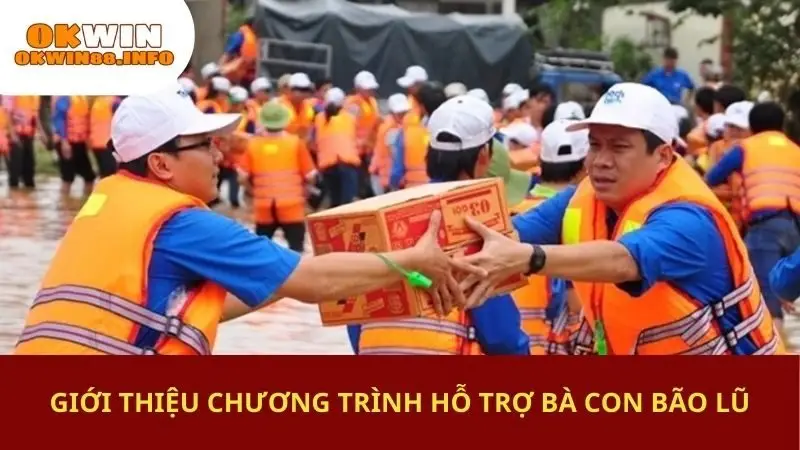 Giới thiệu chương trình hỗ trợ bà con bão lũ